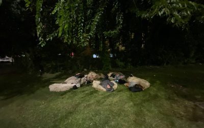 Piața Victoriei noaptea: Protestatari dorm pe asfalt