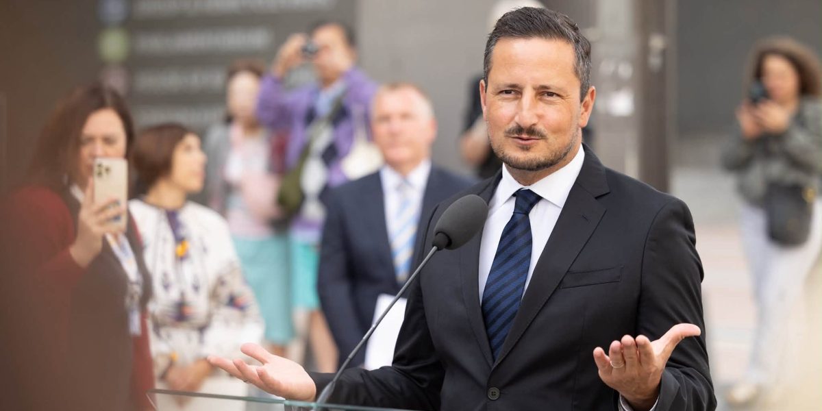 Ștefănuță, copreședinte Verzilor UE